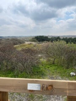 Black Diamond Stormline Stretch Full Zip Rain Pants - Regenbroek -Outdoor Winterkleding Winkel black diamond stormline stretch full zip rain pants regenbroek 538d5176b66396ed75a8dfc62876366c 1